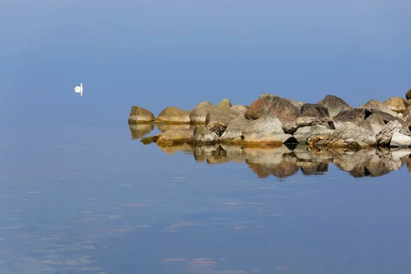 Algumas Pedras Mar Calmo Azul Luz Manhã Cisne Céu Azul — Fotografia de Stock