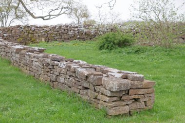 Kireç taşı ve yeşil taze ot, Borgholm Adası Oland, İsveç şehirde yapılan geleneksel taş duvar