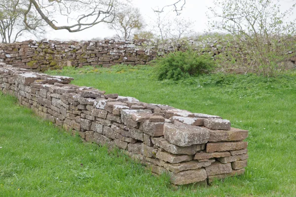 Kireç taşı ve yeşil taze ot, Borgholm Adası Oland, İsveç şehirde yapılan geleneksel taş duvar