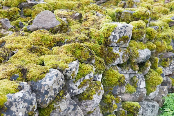 Традиційна Кам Яна Стіна Покрита Мохом Боргольмі Острові Оланд Швеція — стокове фото