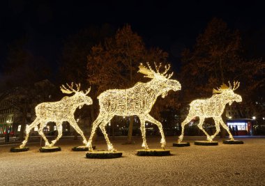 Led ışık Nybrokajen, Stockholm, İsveç, devasa elk veya geyik Noel dekorasyonu yapılan