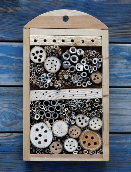 Insektenhotel aus Schilf und gebohrte Löcher in Holz verschiedener — Stockfoto
