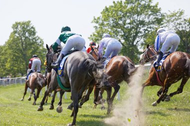 Renkli jockeys havada, yarış atları üzerinde duran arkadan görünüş 