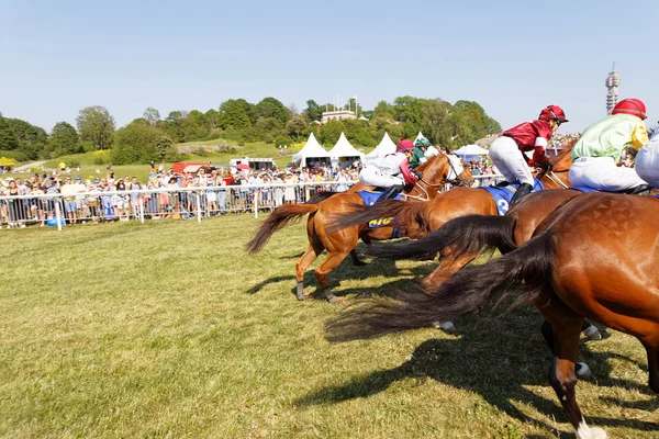 Vista trasera de coloridos jinetes en caballos de carreras justo después de la estrella —  Fotos de Stock