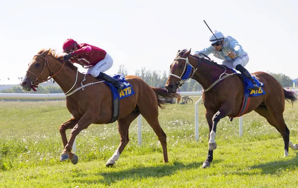 Tough fight between jockeys riding arabian race horses on the ra — Stock Photo, Image