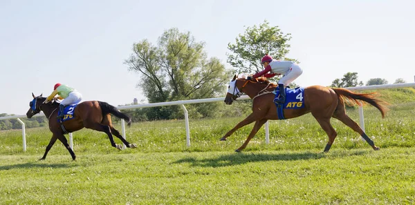 Jockeys riding arabian race horses on the race track — Stock Photo, Image