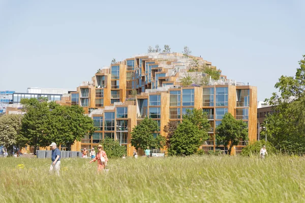 Moderna architettura eco-friendly in legno e ha alberi su t — Foto Stock