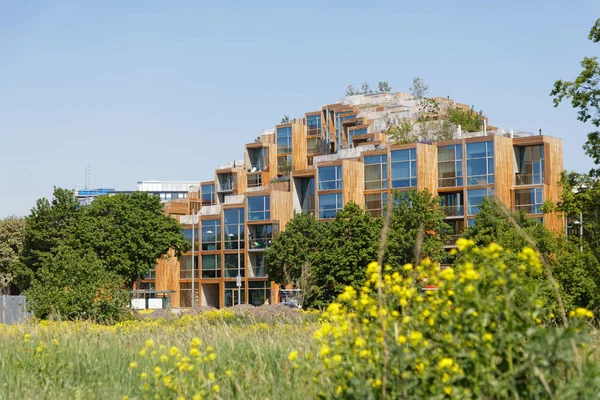 Moderne umweltfreundliche Architektur aus Holz und hat Bäume auf dem Dach — Stockfoto
