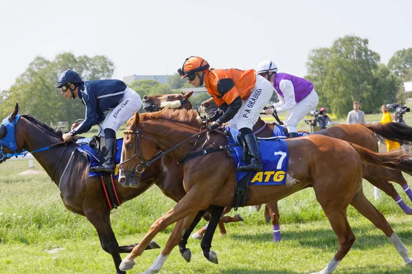 Side view of colorful jockeys riding arabian race horses, audien — Stock Photo, Image