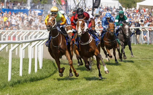 Closeup of tough fight between many jockeys riding arabian race — Stock Photo, Image