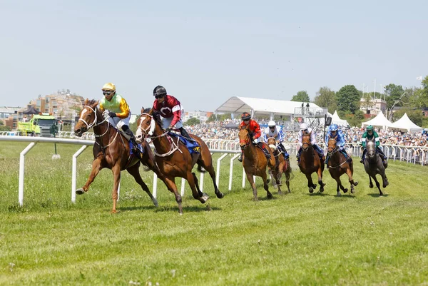 Lucha dura entre muchos jinetes montando caballos de carreras árabes y — Foto de Stock