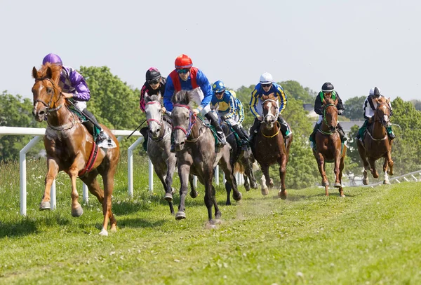 Tough fight between many jockeys riding arabian race horses, tre — Stock Photo, Image
