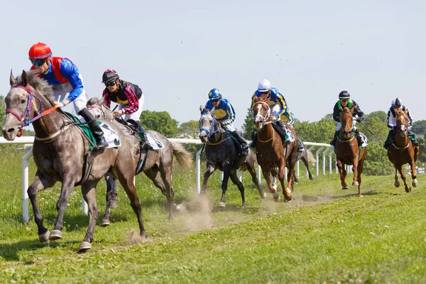 Luta dura entre muitos jóqueis montando cavalos de corrida árabe, tre — Fotografia de Stock