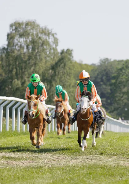 Många unga jockey tjejer Rider söt ponys — Stockfoto