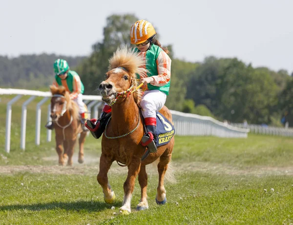 Viele junge Jockey-Mädchen reiten süße Ponys — Stockfoto