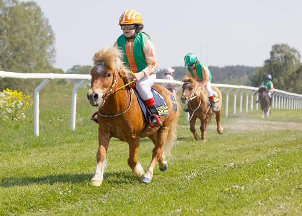 Många unga jockey tjejer Rider söt ponys — Stockfoto