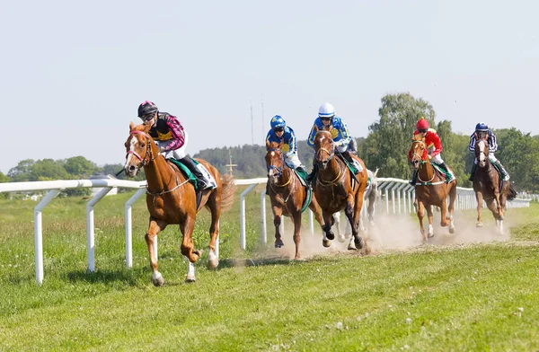 Luta dura entre muitos jóqueis montando cavalos de corrida árabe, tre — Fotografia de Stock