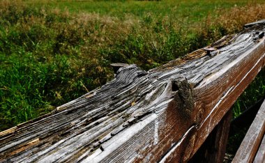 Nehirden geçen eski sular, detaylar.