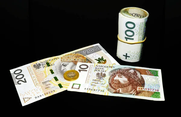 Dinheiro Polaco Negócios Finanças — Fotografia de Stock