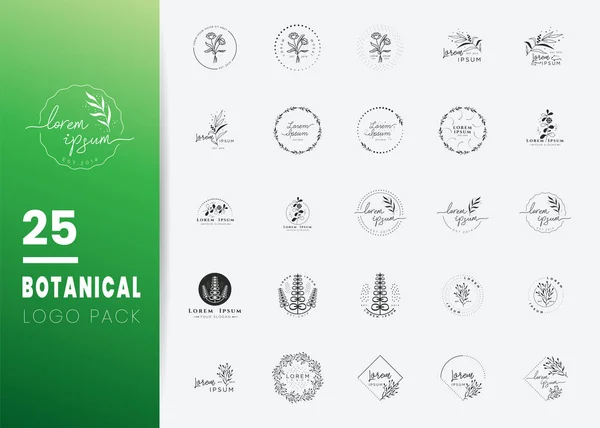 Yaratıcı Botanik Logo şablonları. Yapraklı, dallı ve çelenkli modern logo tasarımı. Sağlık hizmetleri, çiçekçi, fotoğrafçı, düğün, çiçekçi, kozmetik, kaplıca ve sağlık, güzellik için kullanılabilir