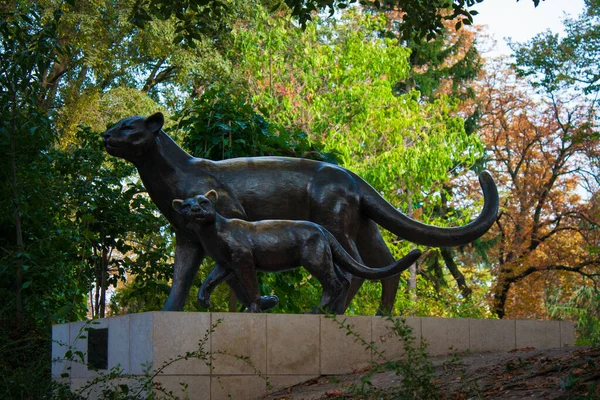 Скульптура Белградском Зоопарке Сербия — стоковое фото