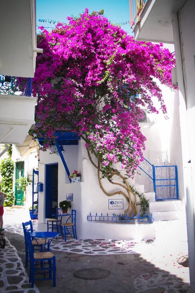 Strade Strette Della Città Skiathos Grecia — Foto Stock