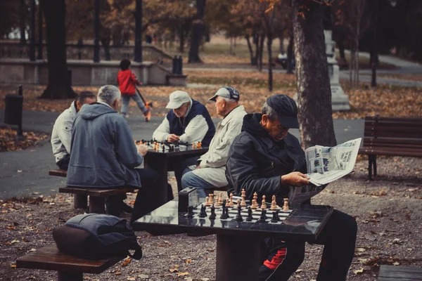 Peças grandes e tabuleiro de xadrez gigante de xadrez de rua no parque foco  seletivo