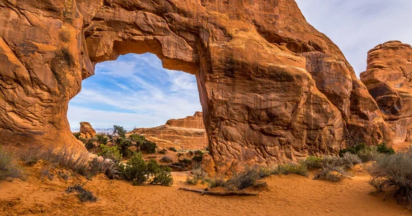 Dennenboom Boog Arches National Park — Stockfoto