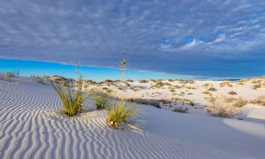 White Sands Ulusal Parkı 'nda Günbatımı