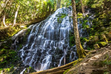 Oregon 'daki Mount Hood Ulusal Ormanı' nda Ramona Şelalesi
