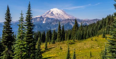 Naches Peak Döngü Yolu 'nda Rainier Dağı' nın görüntüsü