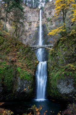 Multnomah Şelalesi Sonbaharda Oregon 'da