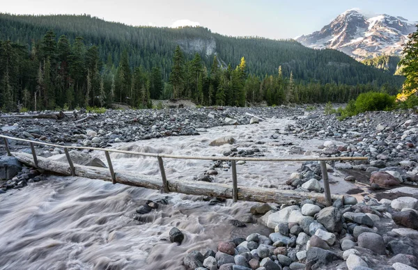 Cruce Del Arroyo Sendero Carter Falls Parque Nacional Mount Rainier — Foto de Stock