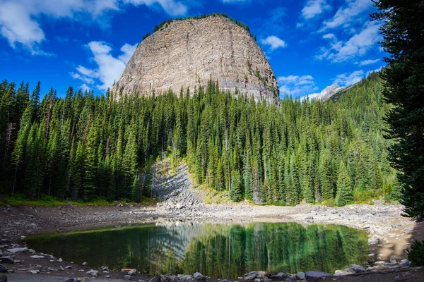 Colmeia Grande Banff National Park — Fotografia de Stock