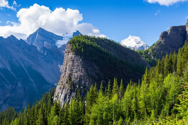 Colmeia Grande Banff National Park — Fotografia de Stock