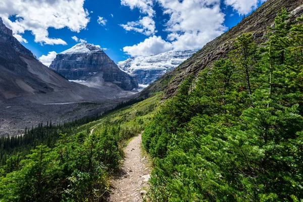 Πεζοπορία Πεδιάδα Των Έξι Παγετώνων Trail Στο Banff National Park — Φωτογραφία Αρχείου