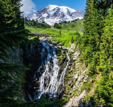 Rainier Dağı Ulusal Parkı 'nda Myrtle Falls