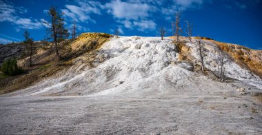 Yellowstone Ulusal Parkı 'ndaki Mammoth Kaplıcalarında Palette Springs
