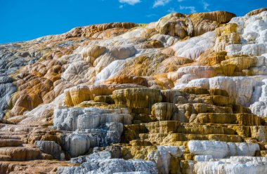 Yellowstone Ulusal Parkı 'ndaki Mammoth Kaplıcalarında Palette Springs