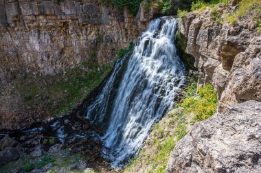 Yellowstone Ulusal Parkı 'nda Rustic Falls