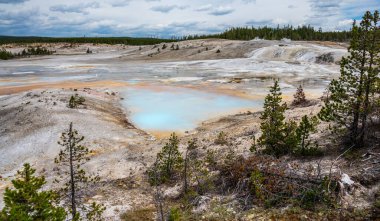 Yellowstone Ulusal Parkı 'ndaki Porselen Kaynakları