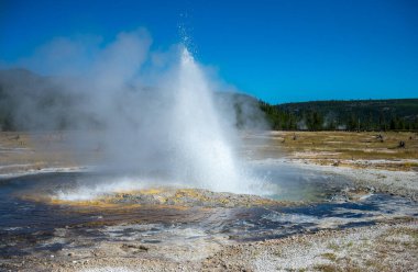 Yellowstone Ulusal Parkı 'ndaki Kara Kum Havzası' nda Cliff Gayzer