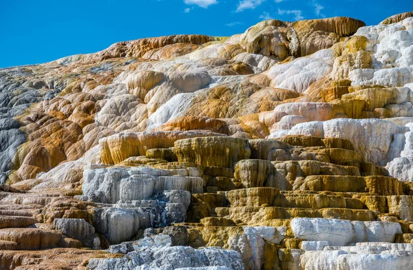 Yellowstone Ulusal Parkı 'ndaki Mammoth Kaplıcalarında Palette Springs