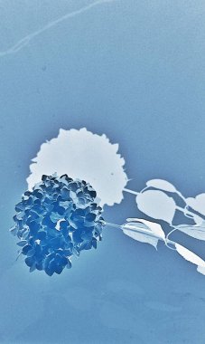 mavi su arkaplan teknisyeni