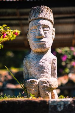 Orijinal çatılı geleneksel Sumatra ahşap evi