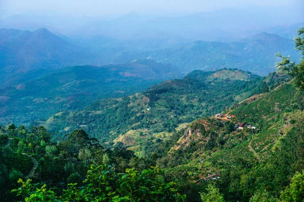 Pohled Shora Zelené Hory Stezku Kouř Vesnici Srí Lance — Stock fotografie