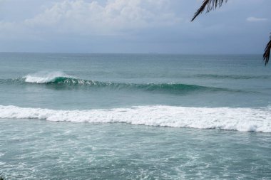 Tepedeki palmiye ağaçlarının arasından mavi dalgalı gizli boş sörf yerine bakın.
