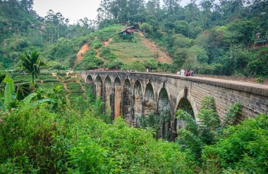 Yeşil ormandaki dokuz kemerli taş köprüye ve Ella, Sri Lanka 'daki çay çiftliğine bakın. 