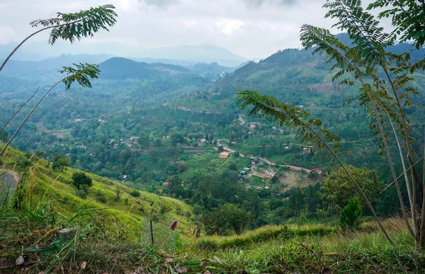 Vista Cima Para Montanhas Verdes Caminho Fumaça Aldeia Sri Lanka — Fotografia de Stock