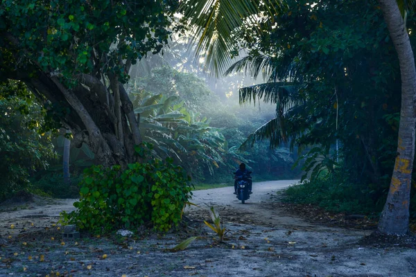 Tropik Yeşil Ormanda Motosiklet Palmiye Ağaçları Gün Batımında Muz Ağaçları — Stok fotoğraf